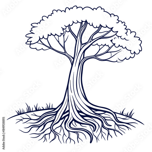 Illustrated tree with extensive roots