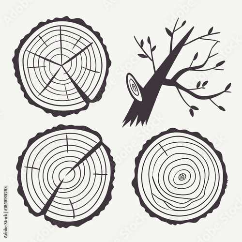 Tree cross sections and branch silhouette
