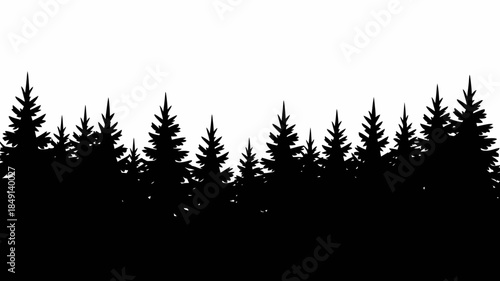 Silhouette of Tall Pine Trees Against White Sky