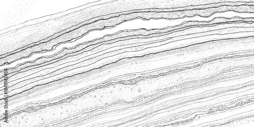 Abstract geological strata texture with fine lines and layers.