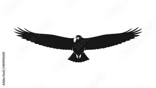 Silhouette of an eagle soaring with outstretched wings in flight against stark white background