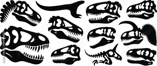 Black Silhouettes of Various Dinosaur Skulls and Teeth Patterns
