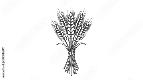 Elegant Hand-Drawn Black and White Illustration of a Wheat Bouquet for Natural Agriculture Themes