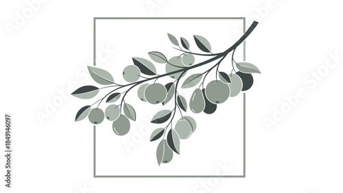 Stylized illustration of a leafy branch with berries in muted monochrome tones suitable for