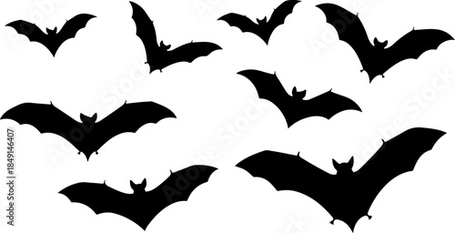 Flying Bat Silhouettes Collection