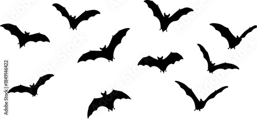 Flying Bat Silhouettes Collection