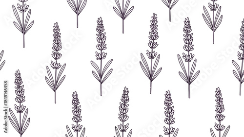 Elegant monochrome lavender botanical pattern design suitable for textiles and wallpapers