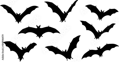 Flying Bat Silhouettes Collection