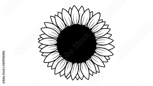 Elegant Black and White Sunflower Illustration with Detailed Petal Design