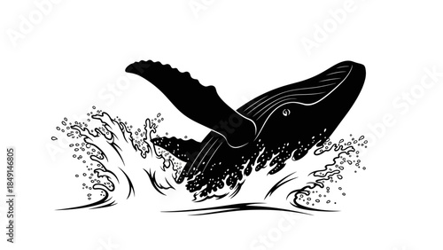 Stylized black and white illustration of a humpback whale breaching water surface with splash
