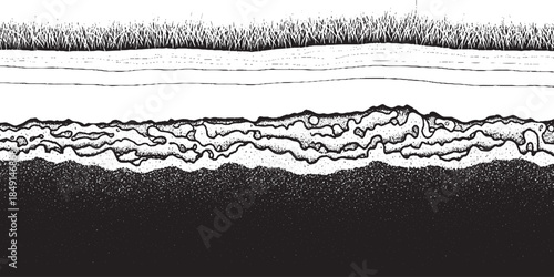 Detailed CrossSection of Soil Layers with Grass and Underground Structures.