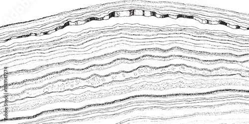 Seismic Reflection Data Showing Stratified Layers of Earths Subsurface.