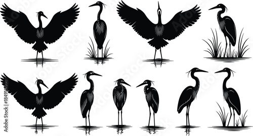 Comprehensive Vector Collection of Heron and Egret Silhouettes Standing, Wading, and Flying for Wildlife and Nature Design