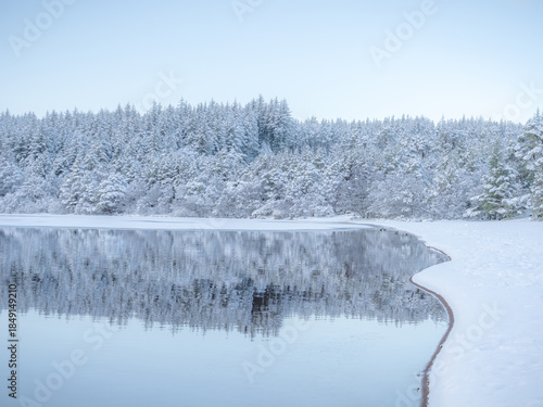 View of a serene, snow-laden forest mirroring its frosty visage on the tranquil waters, painting a picture of winter's soft embrace, Caledonian Forest, Cairngorms National Park, Scotland.
