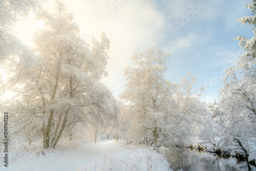 Wallpaper Mural View of a pristine, snow-laden landscape where the sun casts a golden glow on the icy trees along a tranquil river, Caledonian Forest, Cairngorms National Park, Scotland. Torontodigital.ca