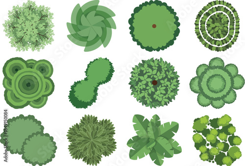 Collection of various green succulent plant species in different shapes and sizes