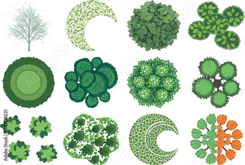 Collection of various green and orange moss and lichen forms