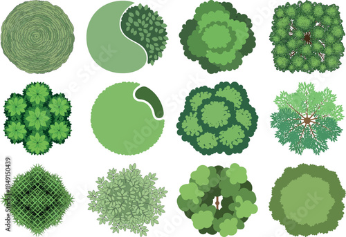 A collection of various green leafy vegetable or plant top view illustrations