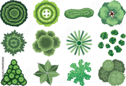 Collection of various green leafy plant and algae species in different shapes and forms