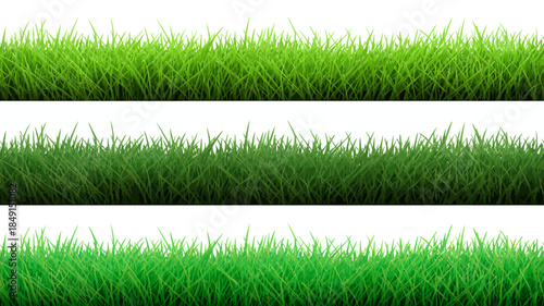 Lush Green Grass Texture Background in Horizontal Stripes