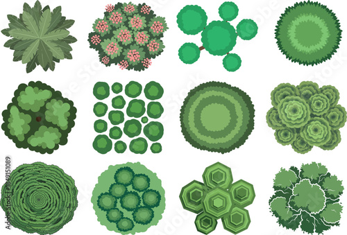 Variety of green algae and plant cells under microscope