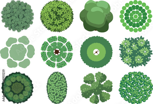 Variety of leaf patterns and shapes in nature