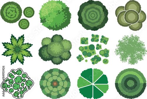 Variety of green vegetables and fruits illustrations