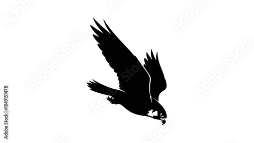 Dynamic silhouette of a soaring bird with outstretched wings in flight against plain background