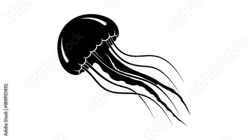 Stylized black and white jellyfish illustration emphasizing fluidity and organic shapes in minimal