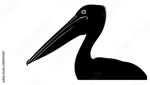 Minimalist Black and White Illustration of a Pelican Head and Beak with Detailed Eye