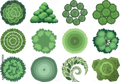 Romanesco broccoli and other vegetables illustrating fibonacci sequence in nature
