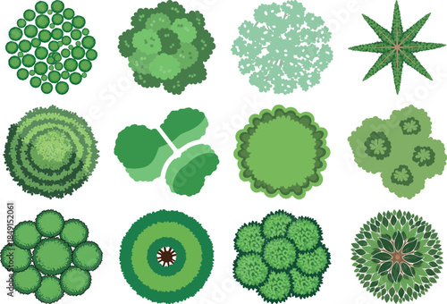 Collection of various green algae and cyanobacteria microorganisms