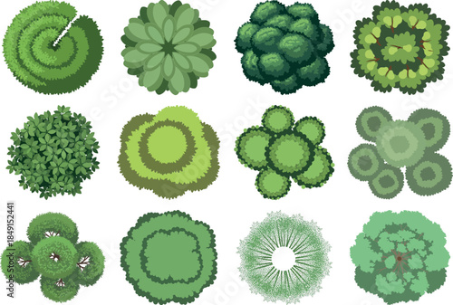 Collection of varied green algae or lichen growth patterns