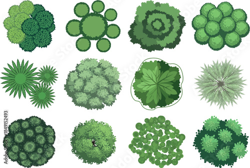 Variety of cacti and succulents in different shapes and sizes