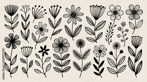 Black and White Floral Illustrations, Minimalist Botanical Designs