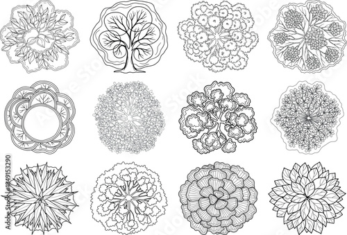 Collection of nine intricate black and white illustrations of brain scans or flowers