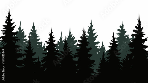 Silhouette of Tall Pine Trees in Forest Scene