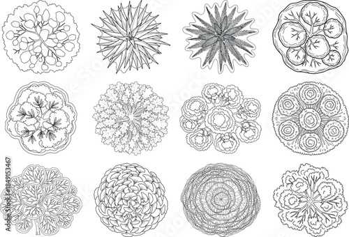 Collection of intricate cell and microscopic organism illustrations