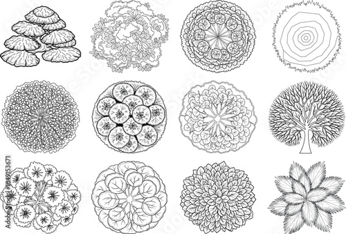 Microscopic views of various biological samples