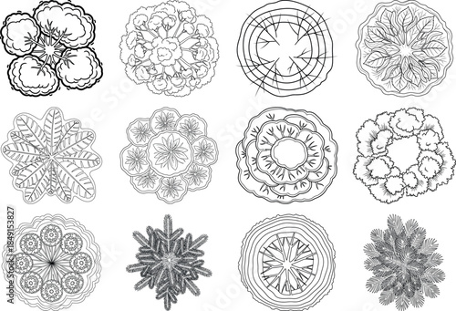 Collection of cellular structures and microscopic organism illustrations