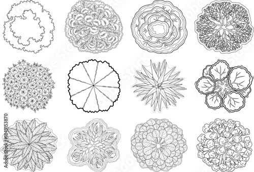 Collection of intricate circular black and white line drawings resembling cells or microscopic organisms