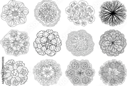 Collection of 12 intricate black and white circular patterns resembling cells or microscopic structures