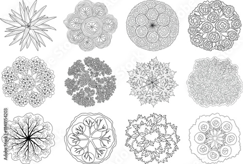 Collection of intricate black and white microscopic organism illustrations