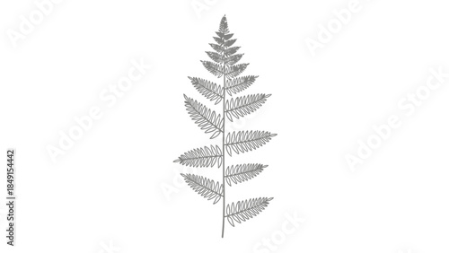 Minimalist monochrome fern leaf illustration emphasizing natural botanical design