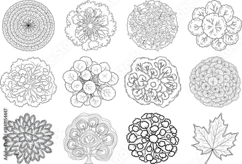 Collection of intricate floral patterns and botanical designs in black and white