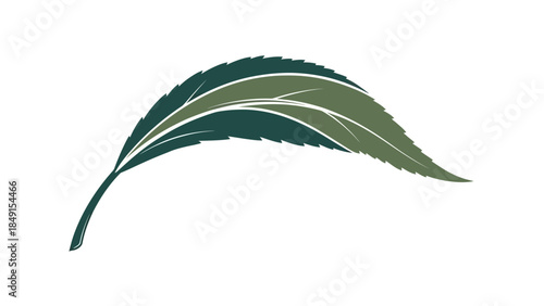 Minimalist Illustration of a Single Leaf with Detailed Texture and Organic Curves