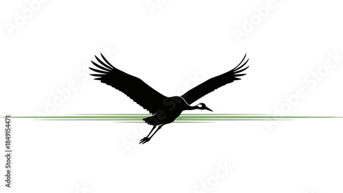 Silhouette of a soaring bird with outstretched wings in stark contrast against a minimalist