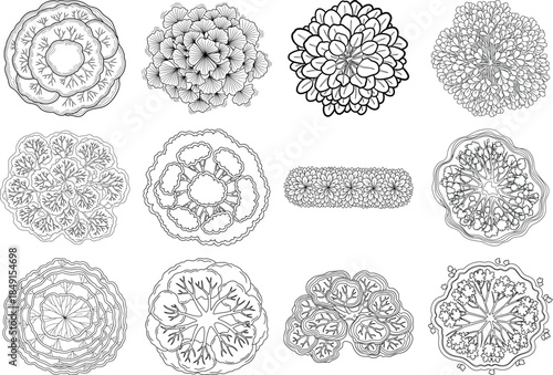 Electron micrograph of various cell structures and organelles