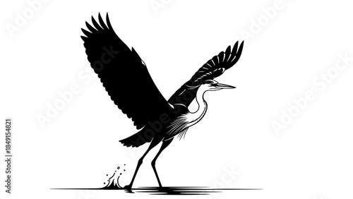 Elegant black and white silhouette of a heron in mid-flight with outstretched wings and water splash