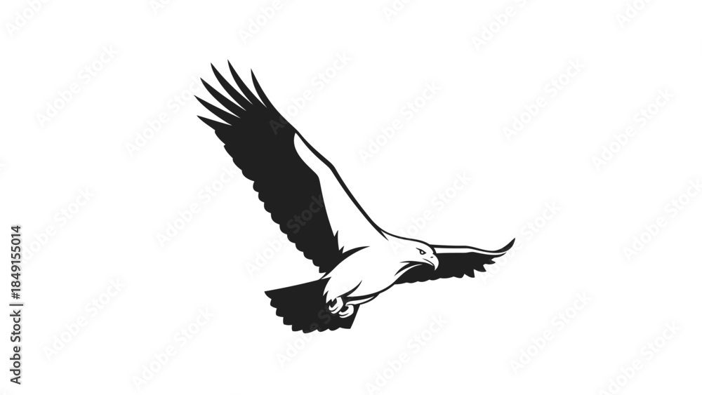 Obraz premium Stylized black and white illustration of a soaring bird with extended wings in flight against a